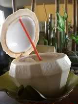 buko juice coconut water