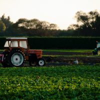 agricultural management orange tractor