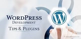 wordpress development 1