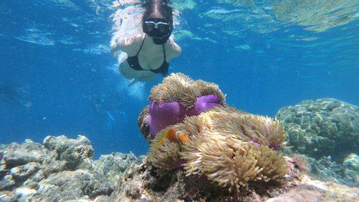 a person swimming in the water near a coral reef
