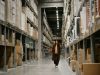 Warehousing 101: A Comprehensive Guide to the Basics