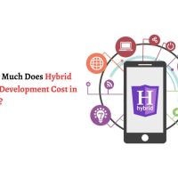 Hybrid App Development