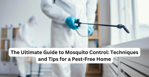 Mosquito Control