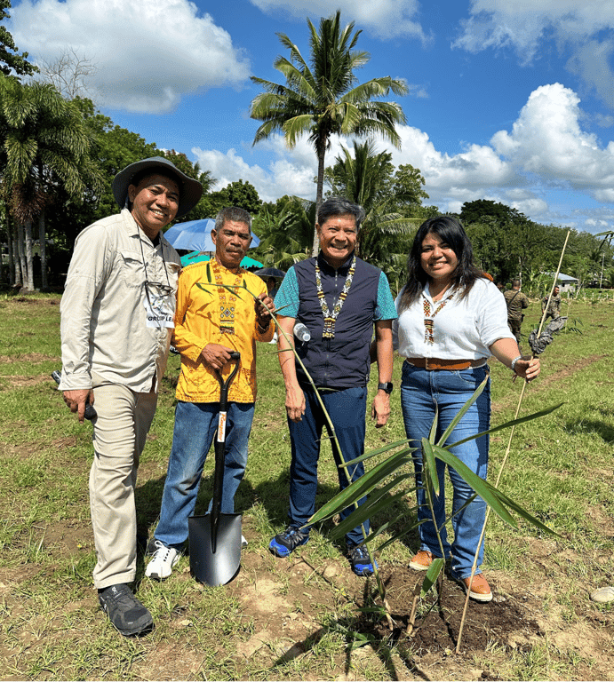 kilambay - bamboo plantation