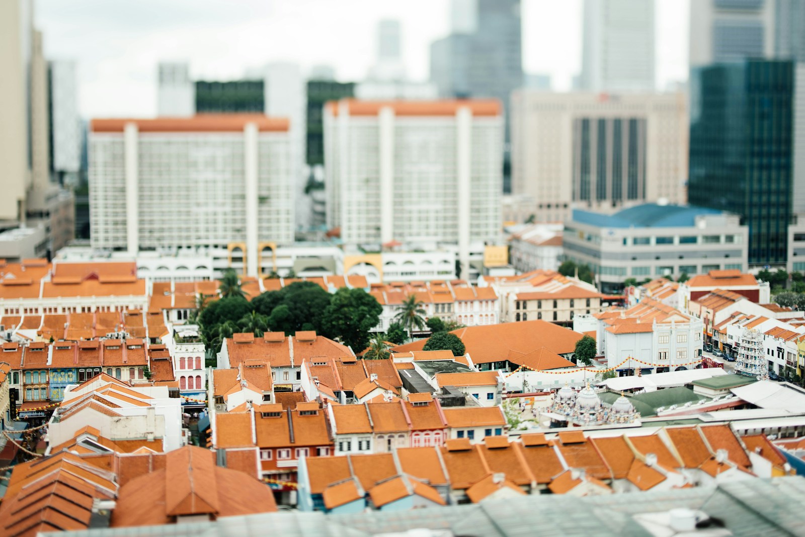 Roof Material for Long-Term Durability- tilt-shift photography of white-and-orange houses surrounded by high rise buildings at daytime