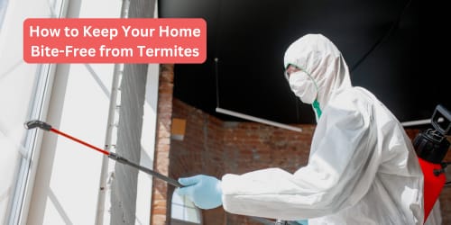 How to Keep Your Home Bite-Free from Termites